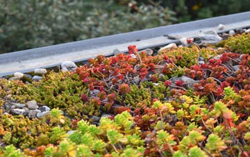 the cost of Hartley Wintney green roof installation