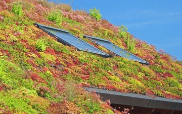Hartley Wintney living roof systems