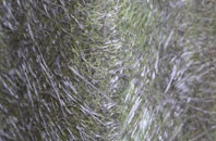 Hartley Wintney fibreglass roof work